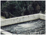 terziario immagine 2